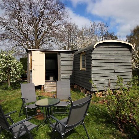 לינה וארוחת בוקר Harmelen Pipowagen/Chalet De Oude Rijn מראה חיצוני תמונה
